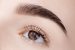 Eyebrow